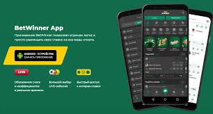 Exploring BetWinner Online Gambling Platform A Comprehensive Guide